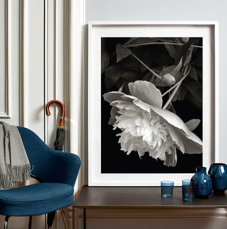 Edition No. 2: Pressed Flowers