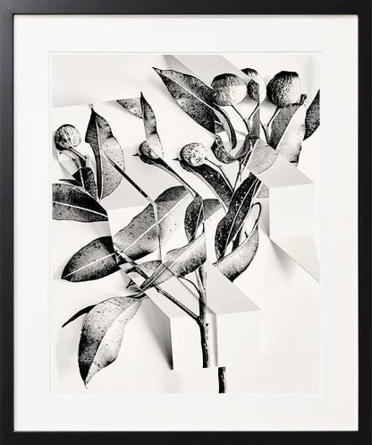 Arrangement 5