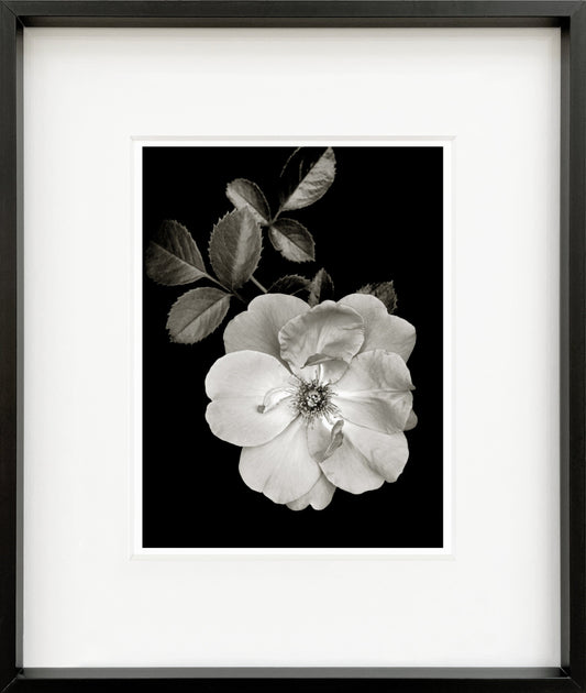Joan Framed Mini Print