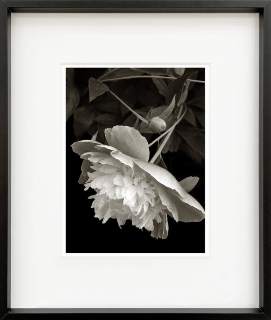 Leslie Framed Mini Print