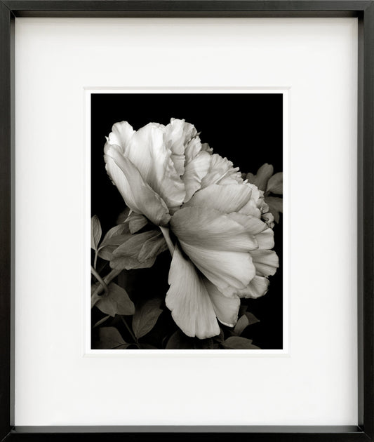 Judith Framed Mini Print